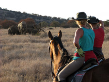 Tanzania-Tanzania-Kilimanjaro Classic Ride